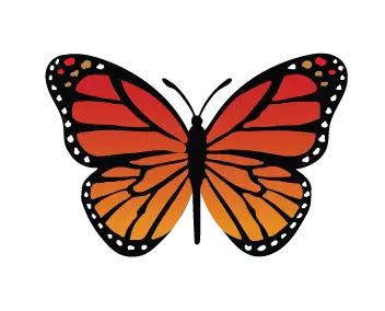 Monarch Massage